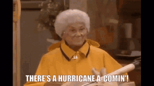 Hurricane Rainy GIF