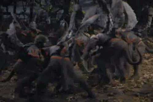 Death Mob Wizard Of Oz GIF - Death Mob Wizard Of Oz Flying Monkeys GIFs