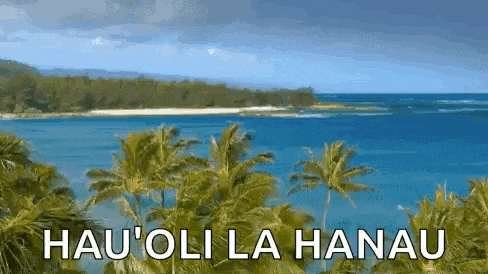 a picture of a beach with palm trees and the words hau 'oli la hanau in white letters