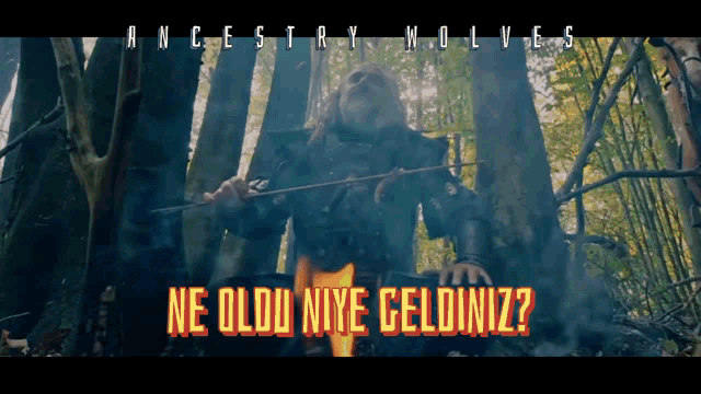 Ancestry Wolves Son Of Ottoman GIF - Ancestry Wolves Son Of Ottoman Kuruluşosman GIFs