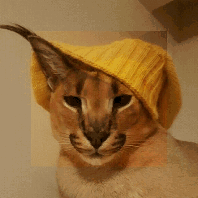 a cat wearing a yellow knitted hat on its head