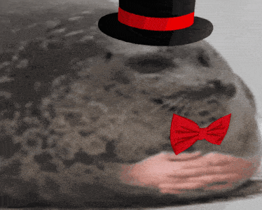 a seal is wearing a top hat and a red bow tie