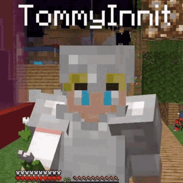 Tommyinnit Tom Simons GIF - Tommyinnit Tom Simons C Tommy GIFs
