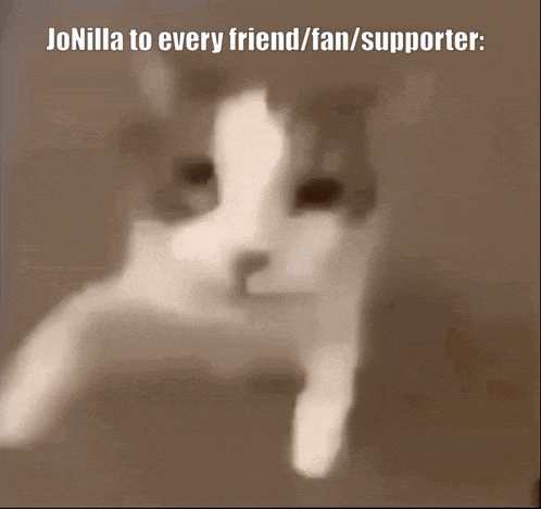 a picture of a cat with the caption jonilla to every friend/fan/supporter