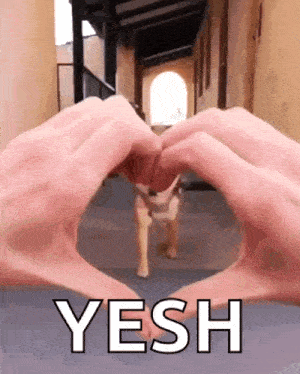 a person is making a heart shape with their hands with the word yesh below them