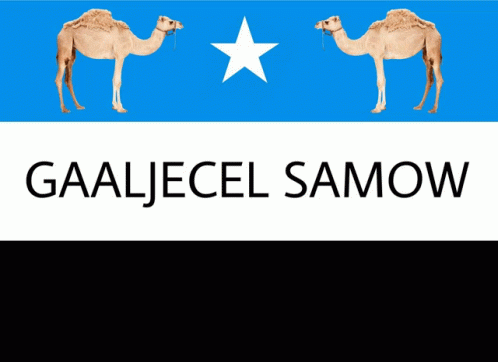 Somalia Gaaljecel Samow GIF - Somalia Gaaljecel Samow Gaaljecel GIFs