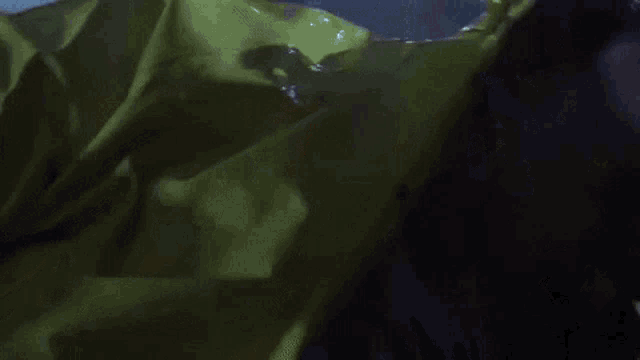 Dennis Nedry Wayne Knight GIF