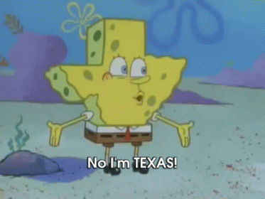 No, I'M Texas! GIF - Spongebob Stupid Texas GIFs