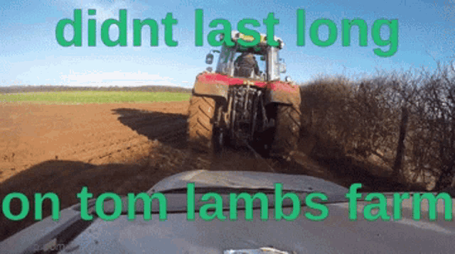 Farm Tom Lamb GIF - Farm Tom Lamb Tom Lambs Farm GIFs