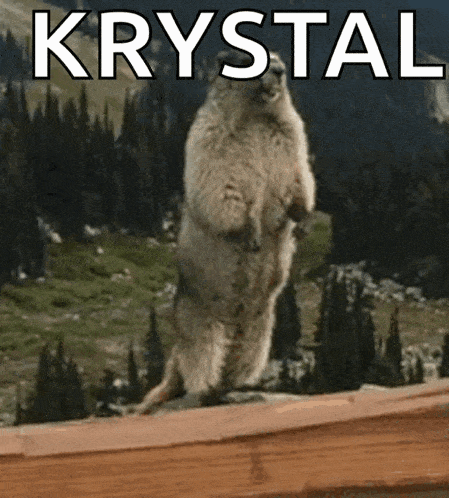 a ground squirrel standing on its hind legs with the word krystal written above it