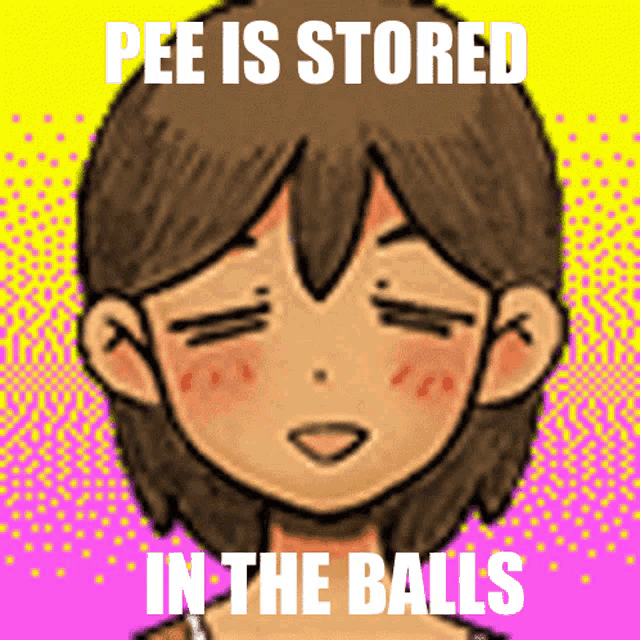 a drawing of a girl with the words " pee is stored in the balls "