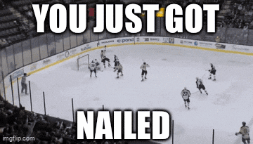 a hockey game with the words you just got nailed below it