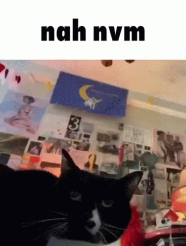 Nah Nvm GIF - Nah Nvm GIFs