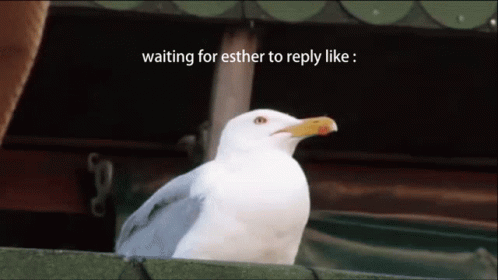 Esther Scree GIF - Esther Scree GIFs
