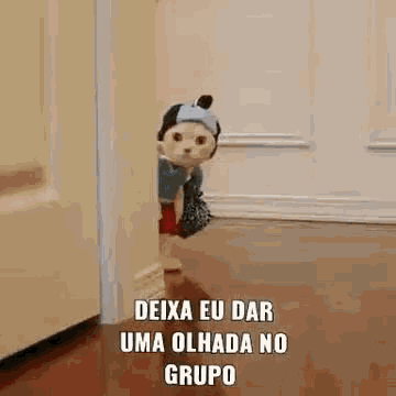 Gato Gatinho GIF - Gato Gatinho Gatovestido GIFs
