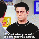 Joey The Way You Said It GIF