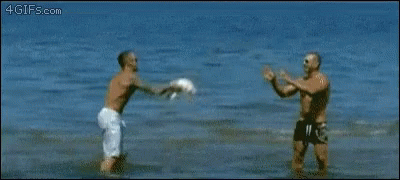 Dog Funny GIF - Dog Funny You Missed GIFs