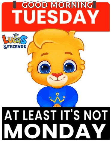 Tuesday Its Tuesday GIF - Tuesday Its Tuesday Happy Tuesday GIFs