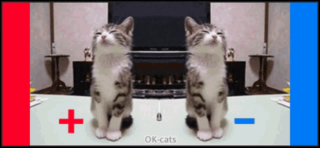 two cats are sitting next to each other with a red and blue border that says ok-cats on it