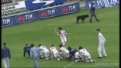 a group of soccer players are kneeling on the field in front of banners for tim