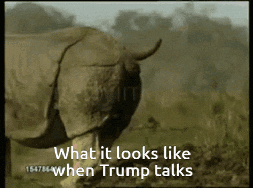 a rhino with the words what it looks like when trump talks on the screen