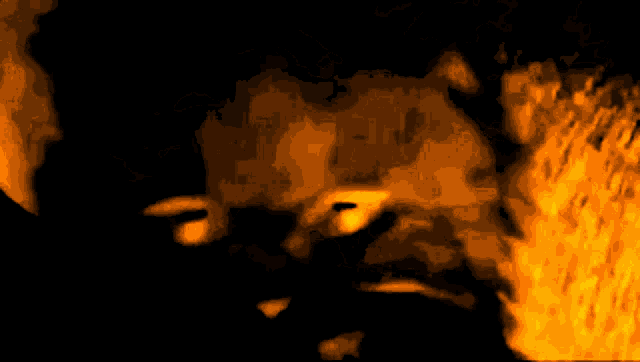a close up of a person 's face with fire behind them