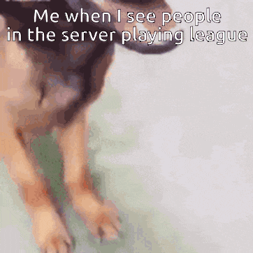 a dog with the words me when i see people in the server playing league on the bottom