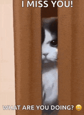 a cat peeking out from behind a door with the words i miss you what are you doing