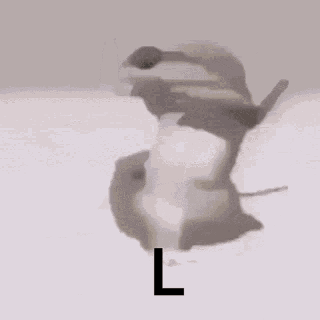 Loser Dance GIF - Loser Dance Lizard GIFs