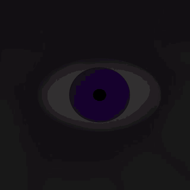 a close up of a purple eye with a black pupil