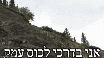 a picture of a hillside with trees and the words " imgflip.com " on the bottom