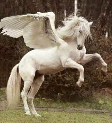 Pegasus GIF