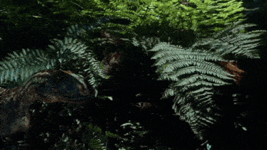 a dinosaur is surrounded by ferns and leaves