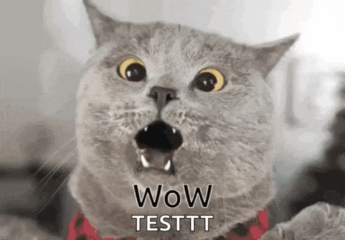 a close up of a cat with a surprised look on its face and the words wow testtt written on it .