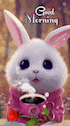 a white bunny rabbit is holding a cup of coffee and a rose .