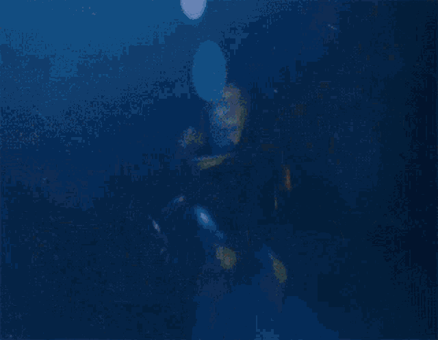 a blurry picture of a person 's feet with blue shoes