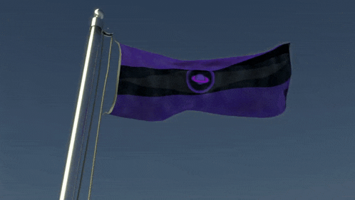 a purple and black flag with a circle in the middle is waving in the wind