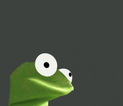 Kermit The Fact Fact GIF - Kermit The Fact Fact GIFs