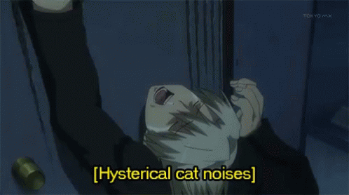 Hysterical Cat Noises GIF - Hysterical Cat Noises Anime GIFs