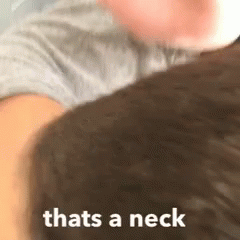 Thats A Neck What Did We Learn GIF - Thats A Neck Neck What Did We Learn GIFs