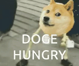 Lol Funny Doge GIF - Lol Funny Doge Hungry GIFs