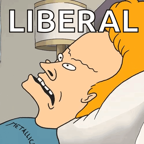 a cartoon of a man laying in bed with the word liberal written on the bottom