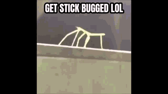 a stick bug is crawling on a wall with the words get stick bugged lol below it