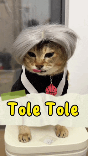 a cat wearing a wig and holding a sign that says tole tole