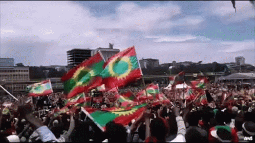 Oromo Oromia GIF - Oromo Oromia Flag GIFs