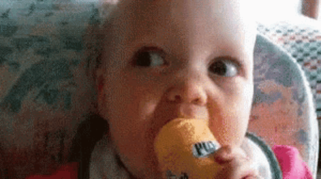 What Wtf GIF - What Wtf Baby GIFs