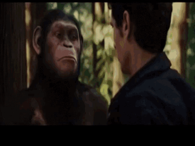 a monkey is looking at a man with the words no te metas con mexico pinshe wey