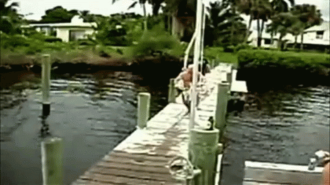Ouch Water GIF - Ouch Water Dock GIFs