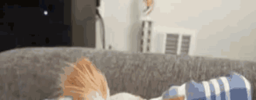 a small dog is laying on a couch with a striped blanket .