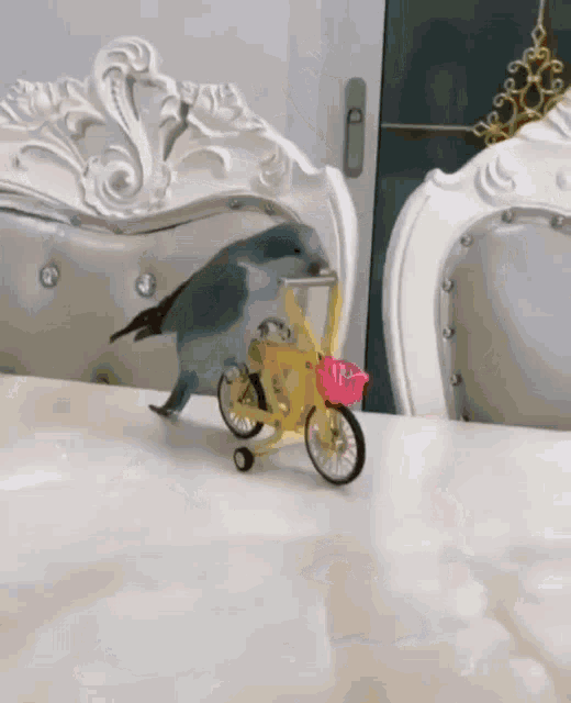 a bird is riding a toy bicycle with a basket on it .